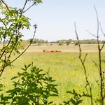 Westmarkenpalais Apartment