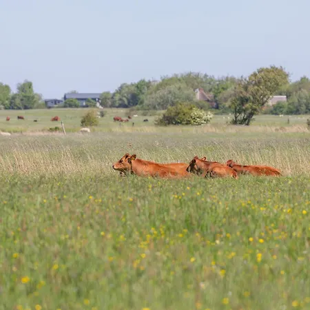 Apartament Westmarkenpalais *
