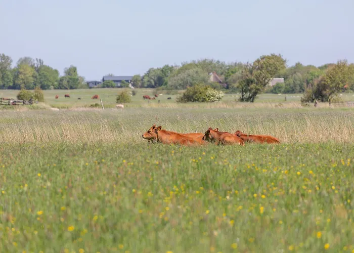公寓 Westmarkenpalais *