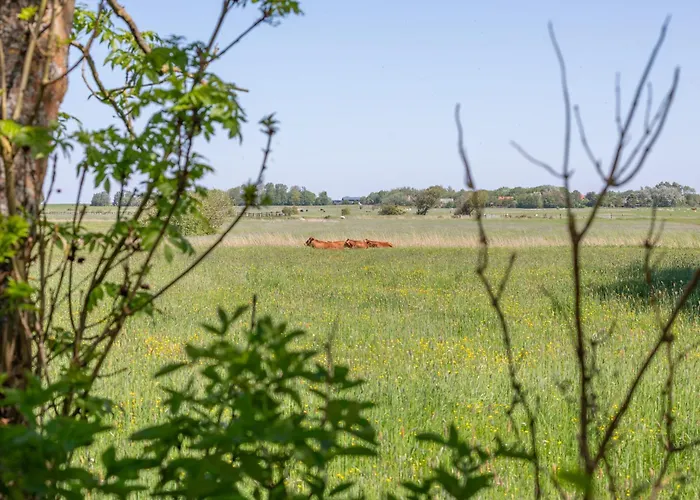 Westmarkenpalais 圣彼得奥尔丁